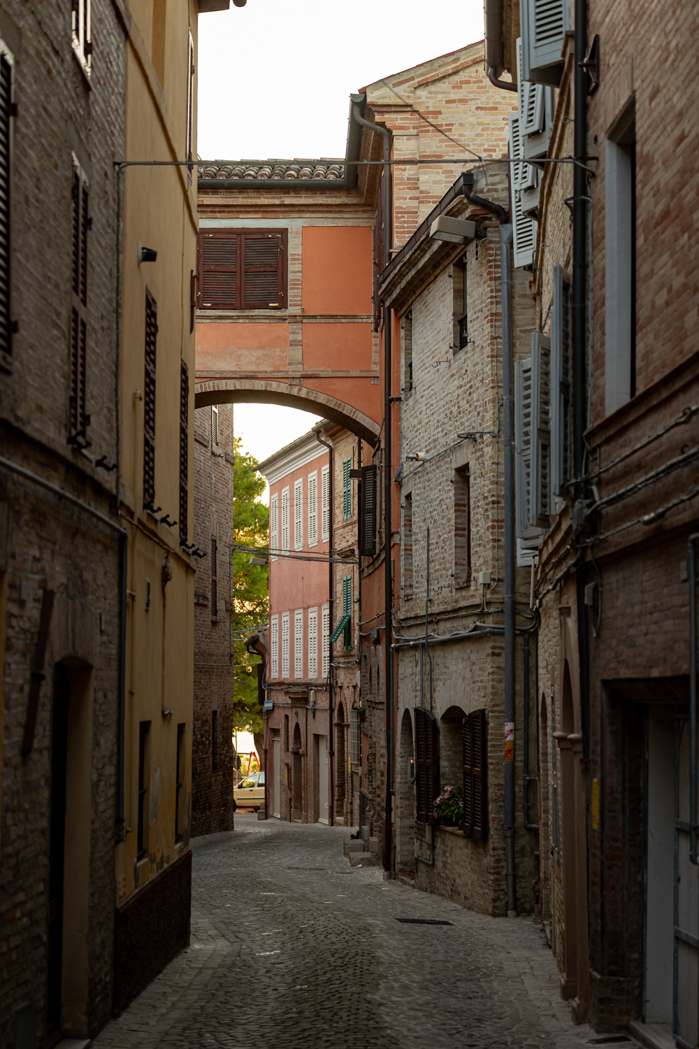 Scopri